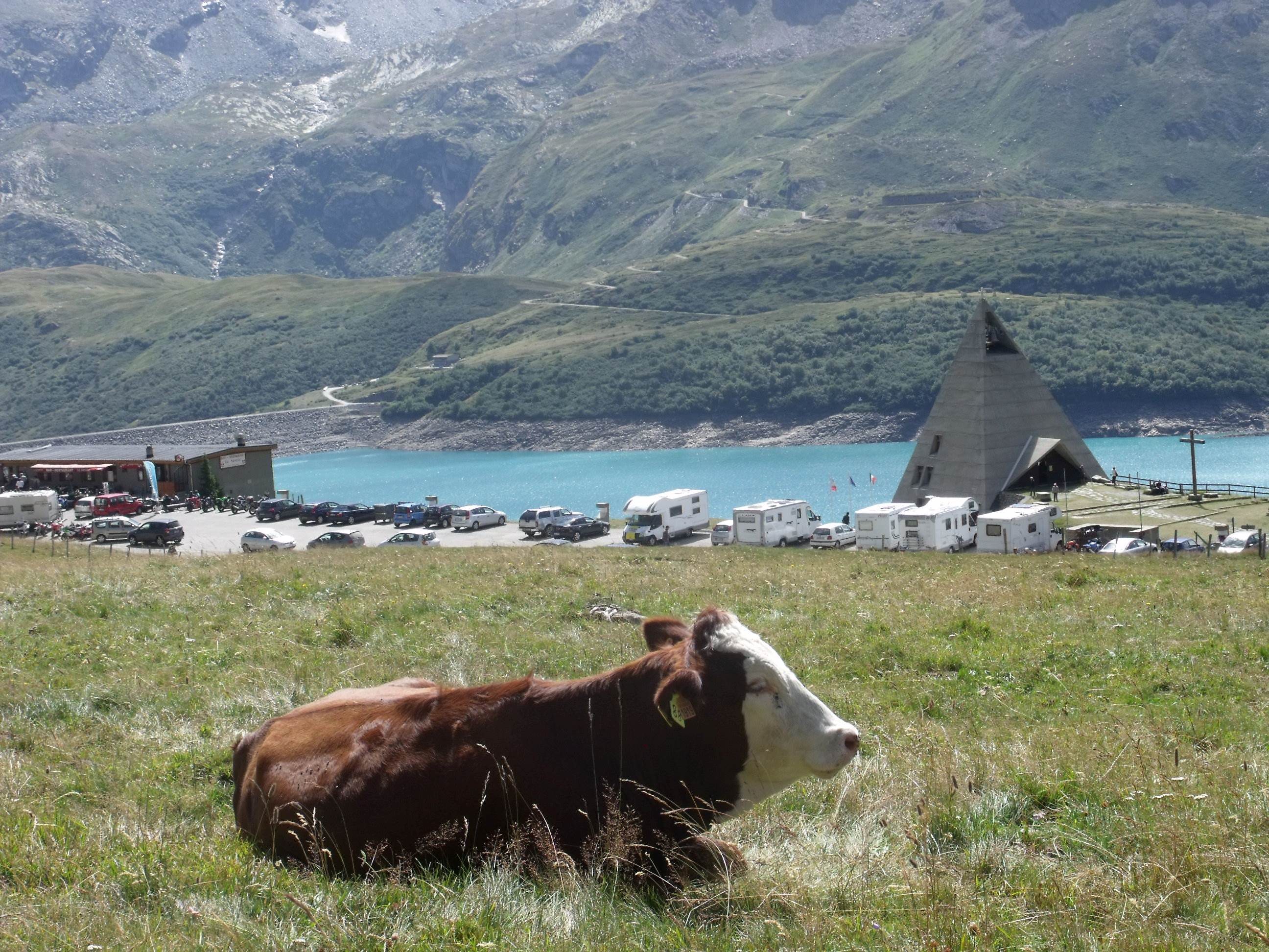 Découverte gourmande au Mont Cenis : goûter à la ferme Val-Cenis