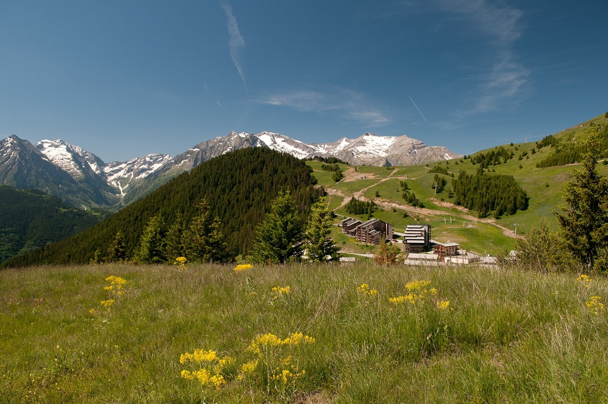 Sortie  " à la rencontre du Berger" Besse-en-Oisans - 20 août 2024 