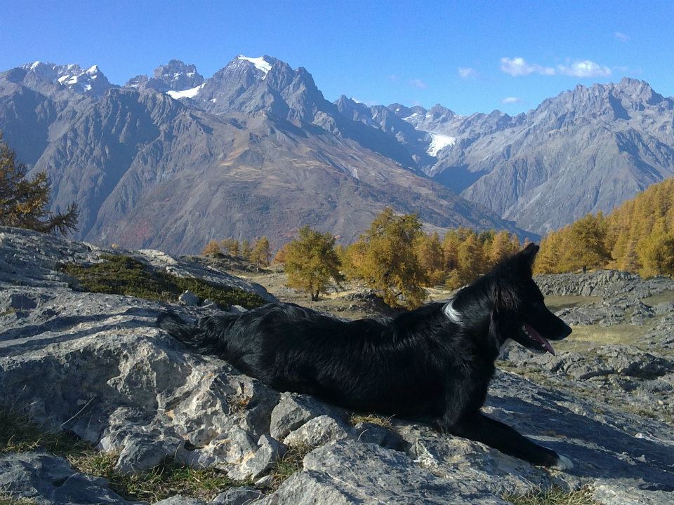 Randonnée Découverte : Panoramas face aux sommets du Massif des Ecrins Vallouise