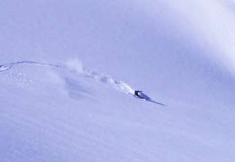 Bon cadeau 1 pers - Journée freeride (coll) 