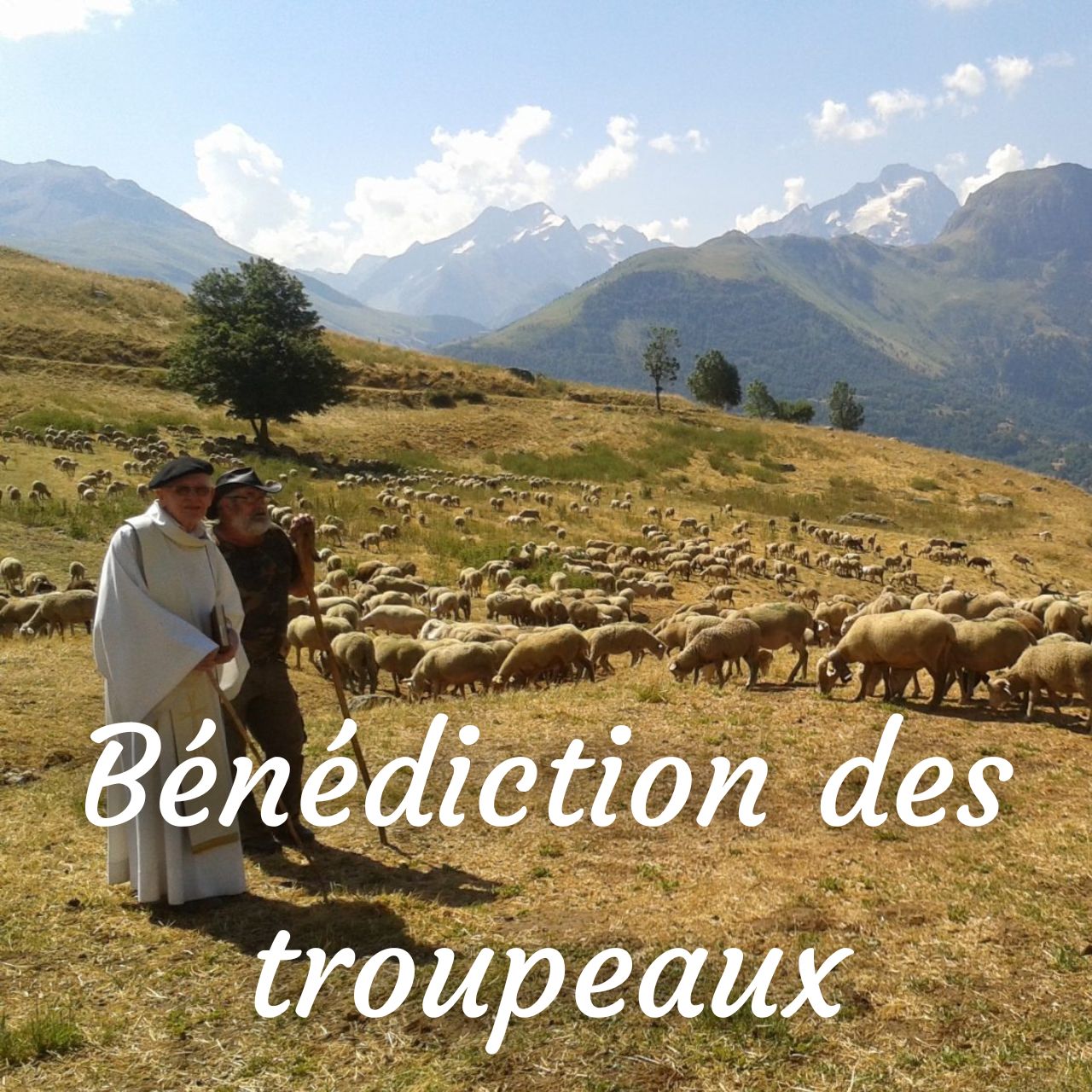 bénédiction des Troupeaux 