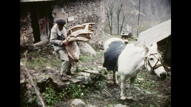 Visite guidée du village 